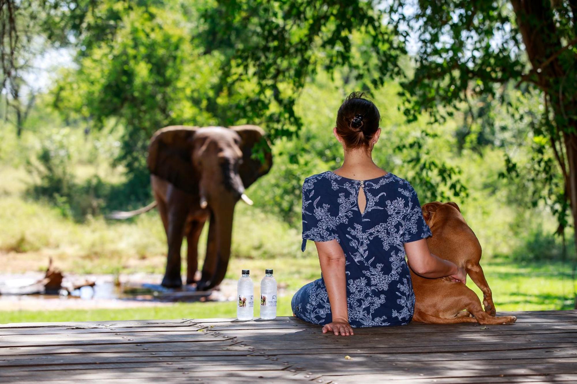 Sable Creek Safari Lodge Tzaneen Extérieur photo