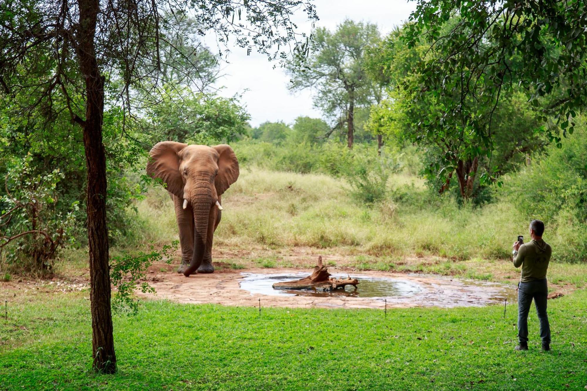 Sable Creek Safari Lodge Tzaneen Extérieur photo